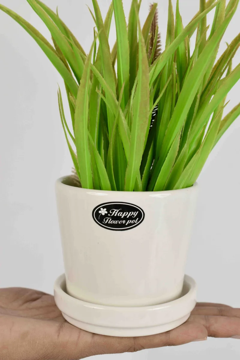 Classic Ceramic Planter — 5" Dia × 4" Height — Primary View