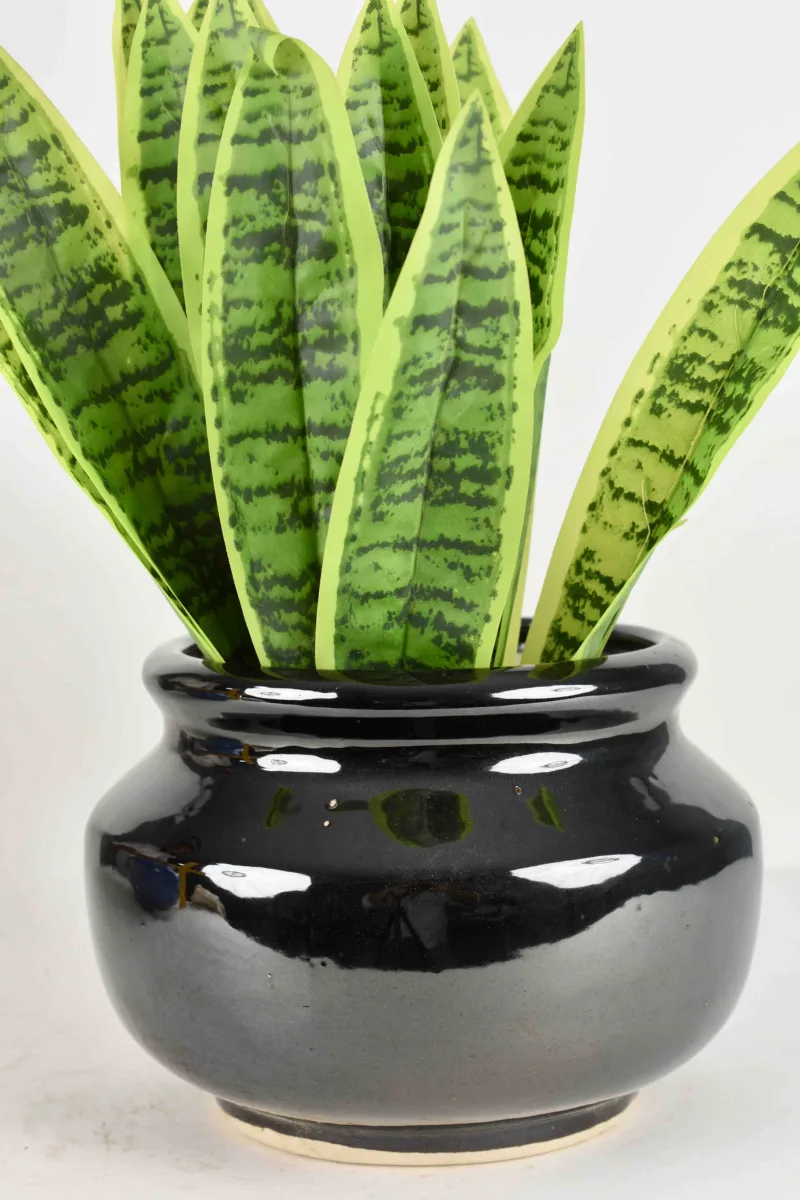 Classic Ceramic Planter — 4" Dia × 3" Height — Primary View