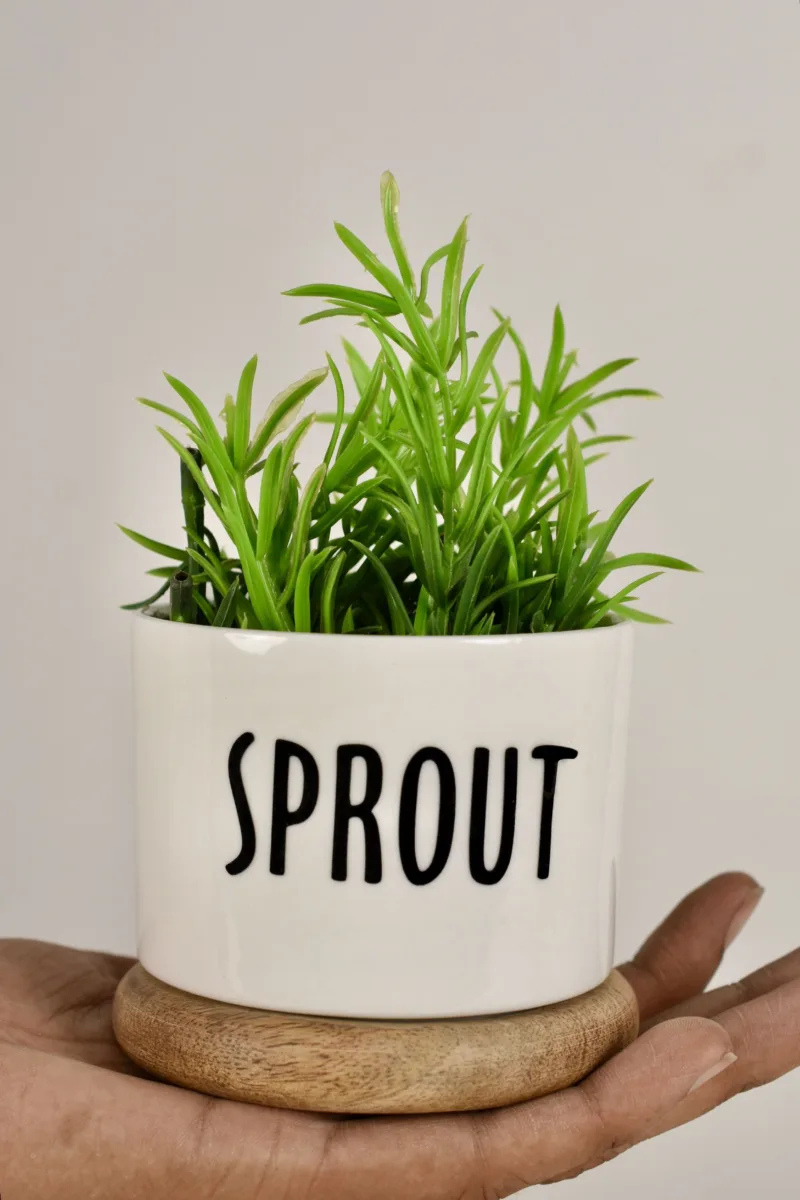 Classic Ceramic Planter — 7" Dia × 13" Height — Primary View