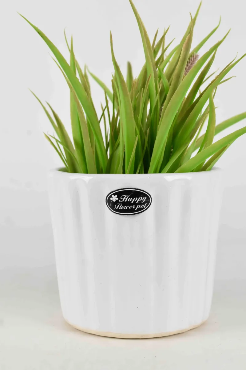 Classic Ceramic Planter — Primary View