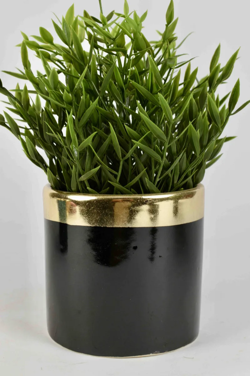 Classic Ceramic Planter — 12.5" Dia × 2.5" Height — Primary View