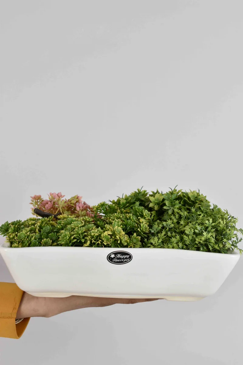Classic Ceramic Planter — 4" Dia × 4" Height — Primary View