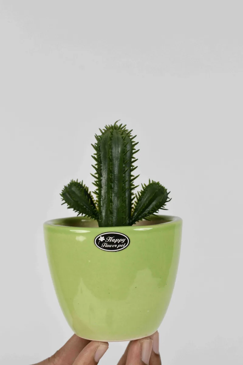 Classic Ceramic Planter — 3.5" Dia × 3.5" Height — Primary View