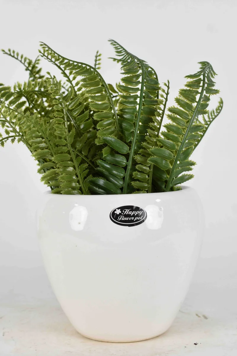 Classic Ceramic Planter — 4" Dia × 3.5" Height — Primary View