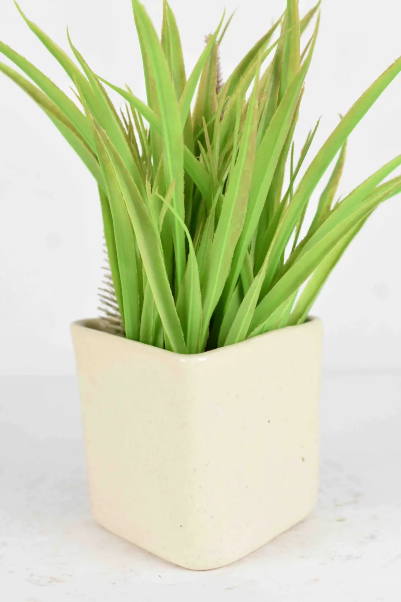 Classic Ceramic Planter — 12" Dia × 4" Height — Primary View