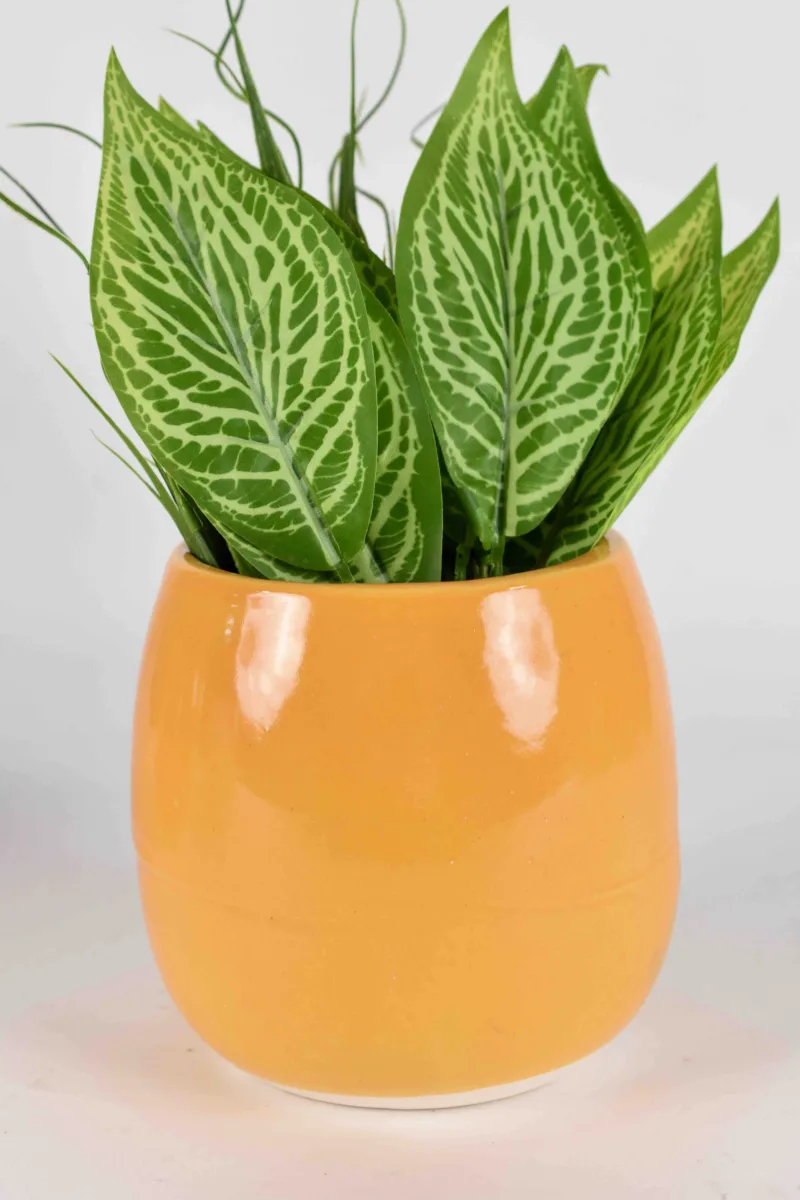 Classic Ceramic Planter — 3.5" Dia × 3.5" Height — Primary View