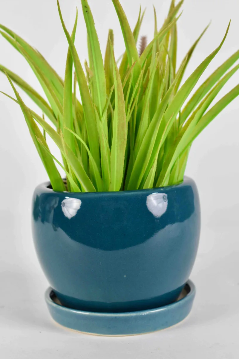 Classic Ceramic Planter — 5.5" Dia × 5" Height — Primary View