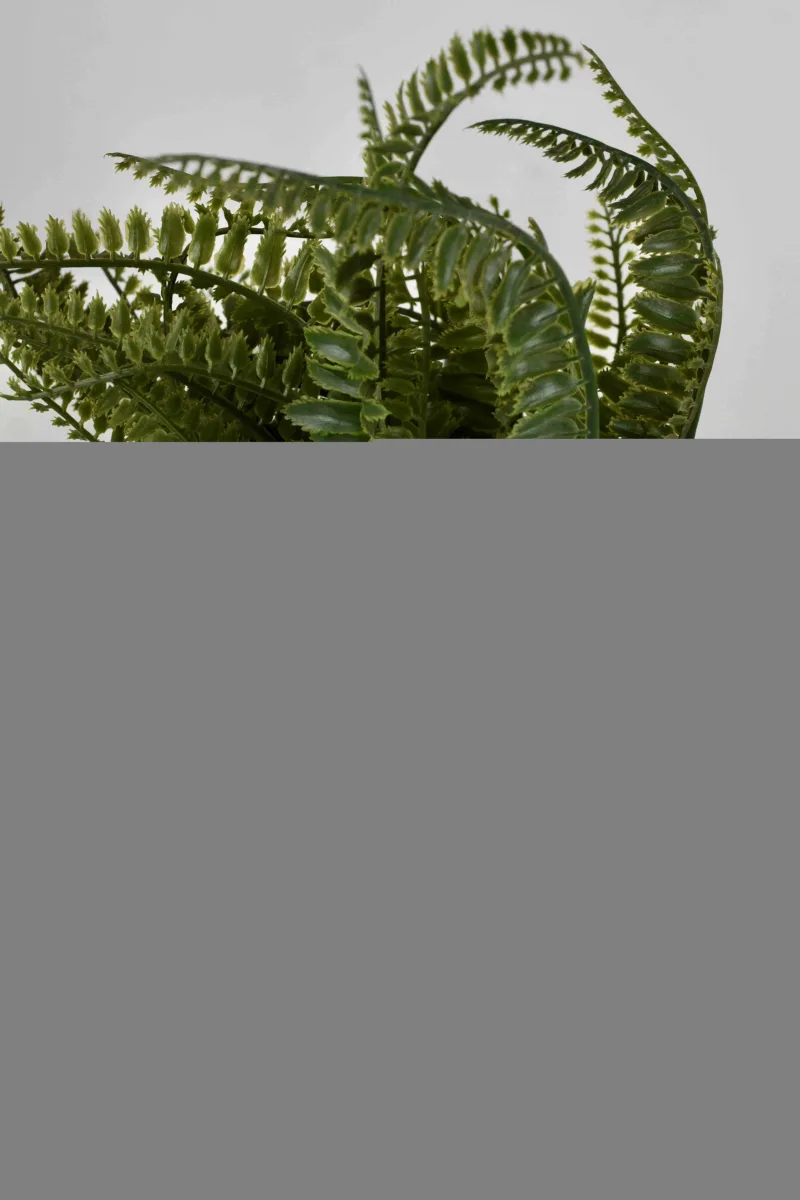 Classic Ceramic Planter — 3" Dia × 2.5" Height — Primary View