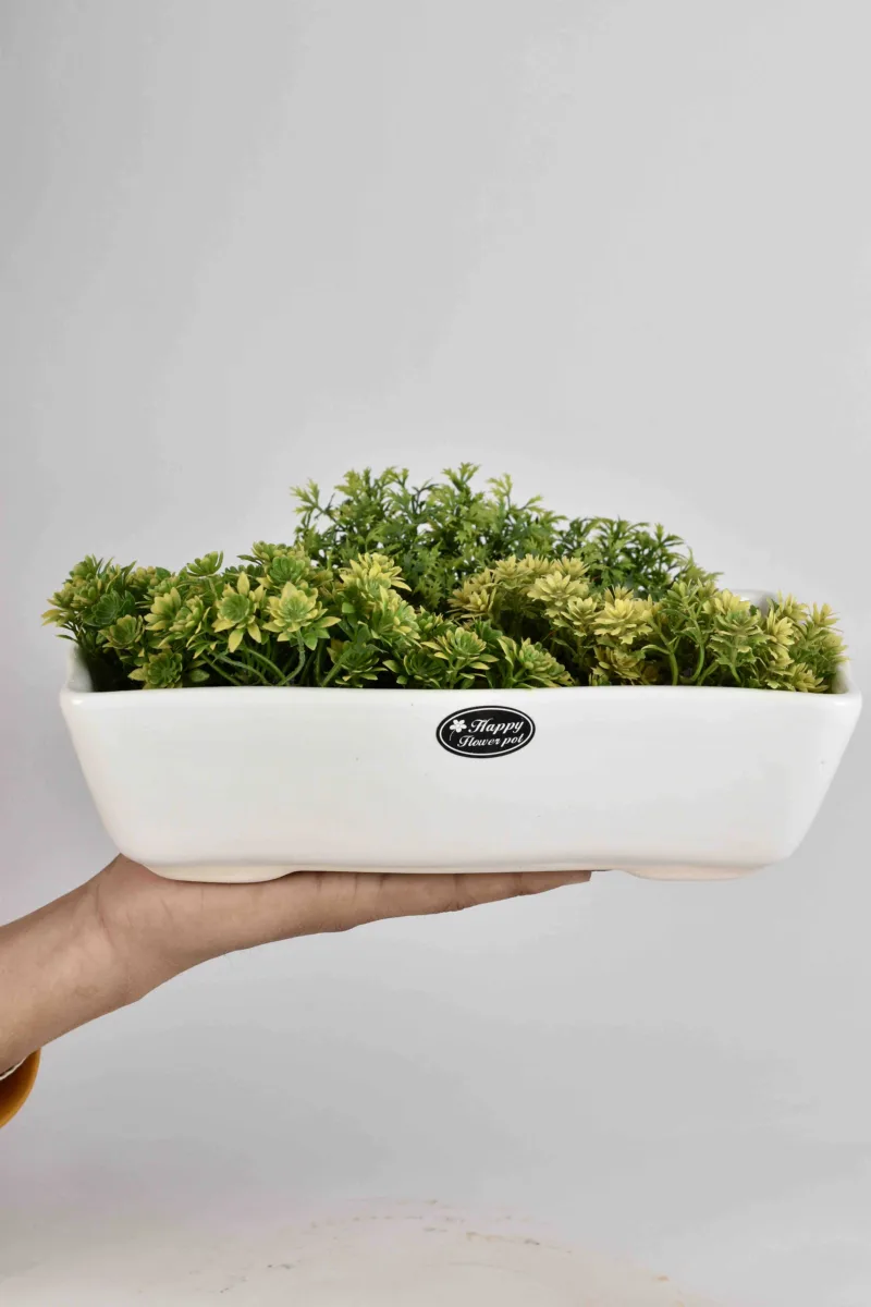 Classic Ceramic Planter — 4.5" Dia × 4.5" Height — Primary View