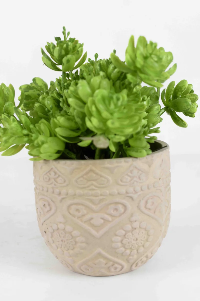 Classic Ceramic Planter — 3.5" Dia × 3.5" Height — Primary View