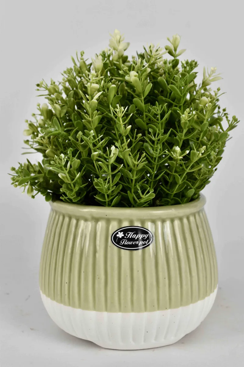 Classic Ceramic Planter — 5.5" Dia × 5" Height — Primary View