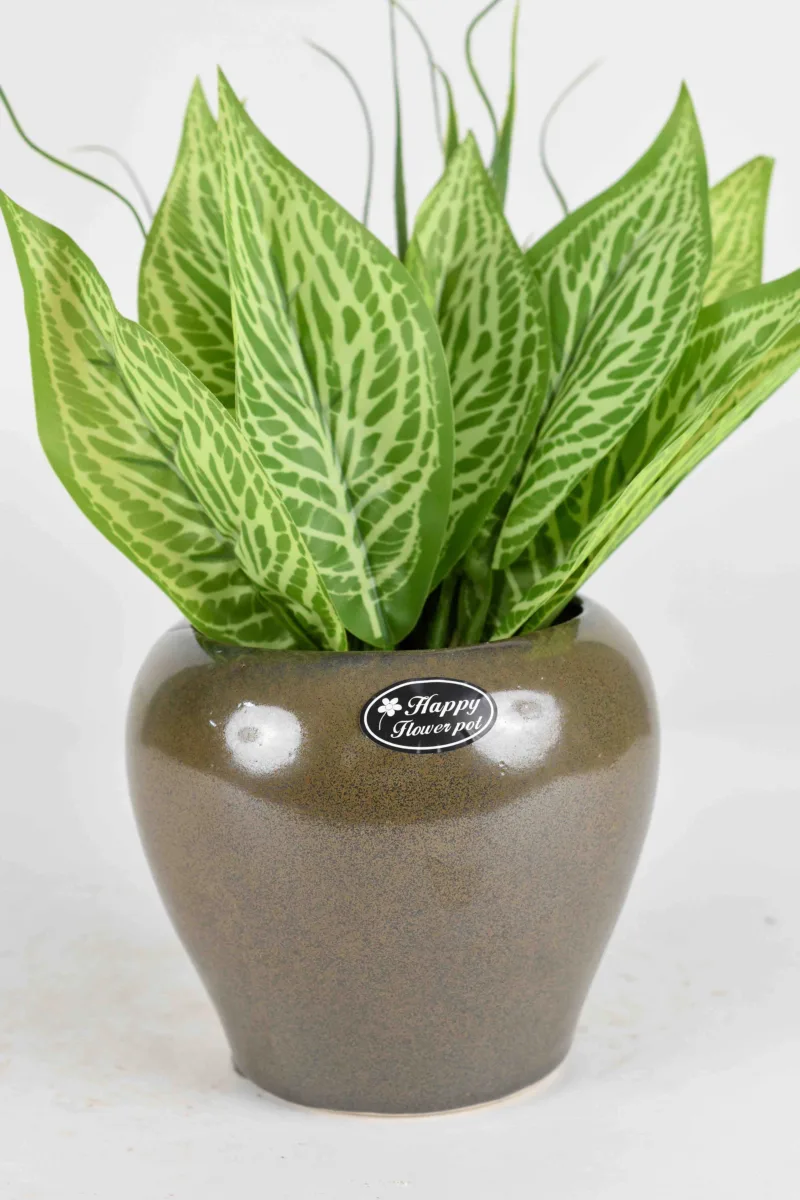 Classic Ceramic Planter — 12" Dia × 12" Height — Primary View