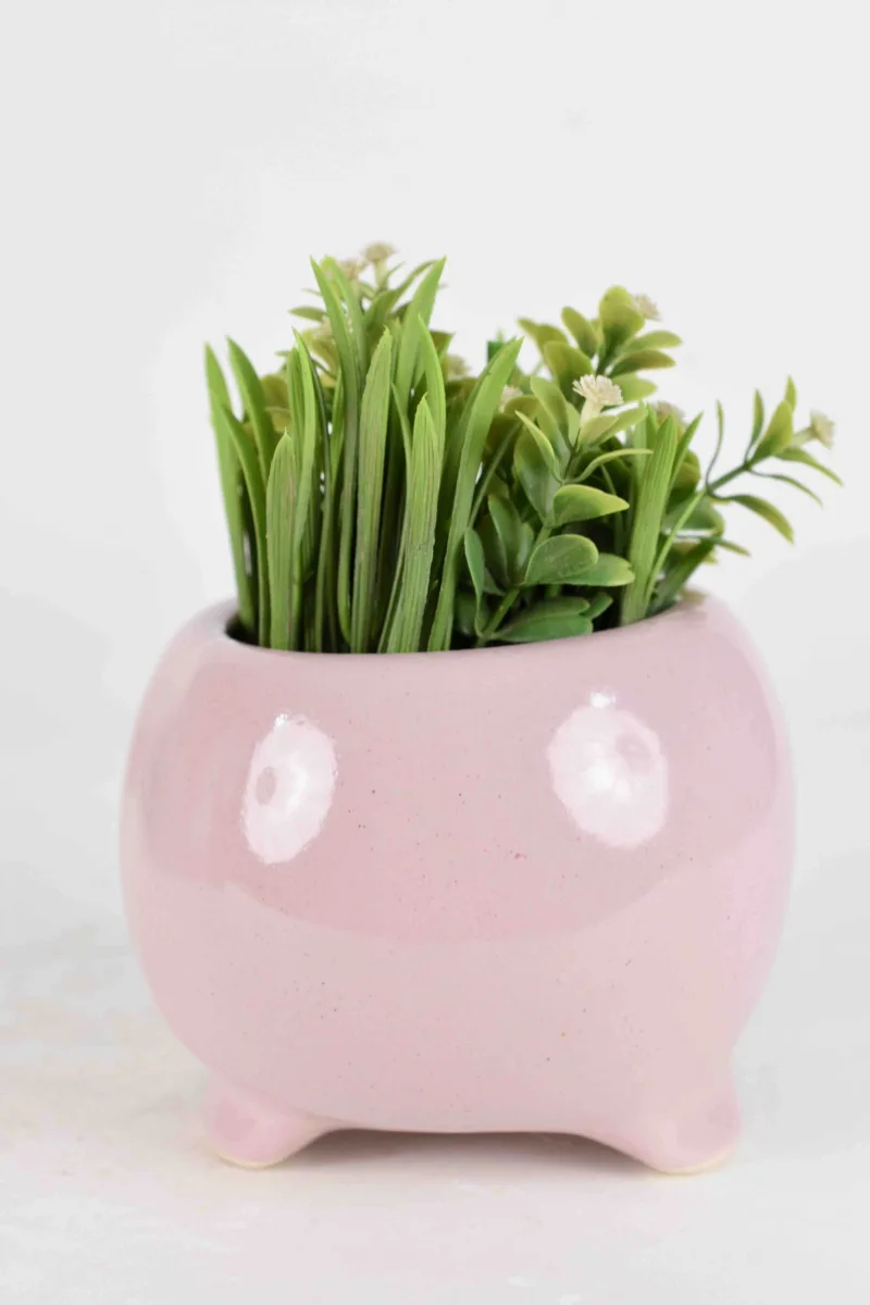 Classic Ceramic Planter — 5.5" Dia × 3.5" Height — Primary View