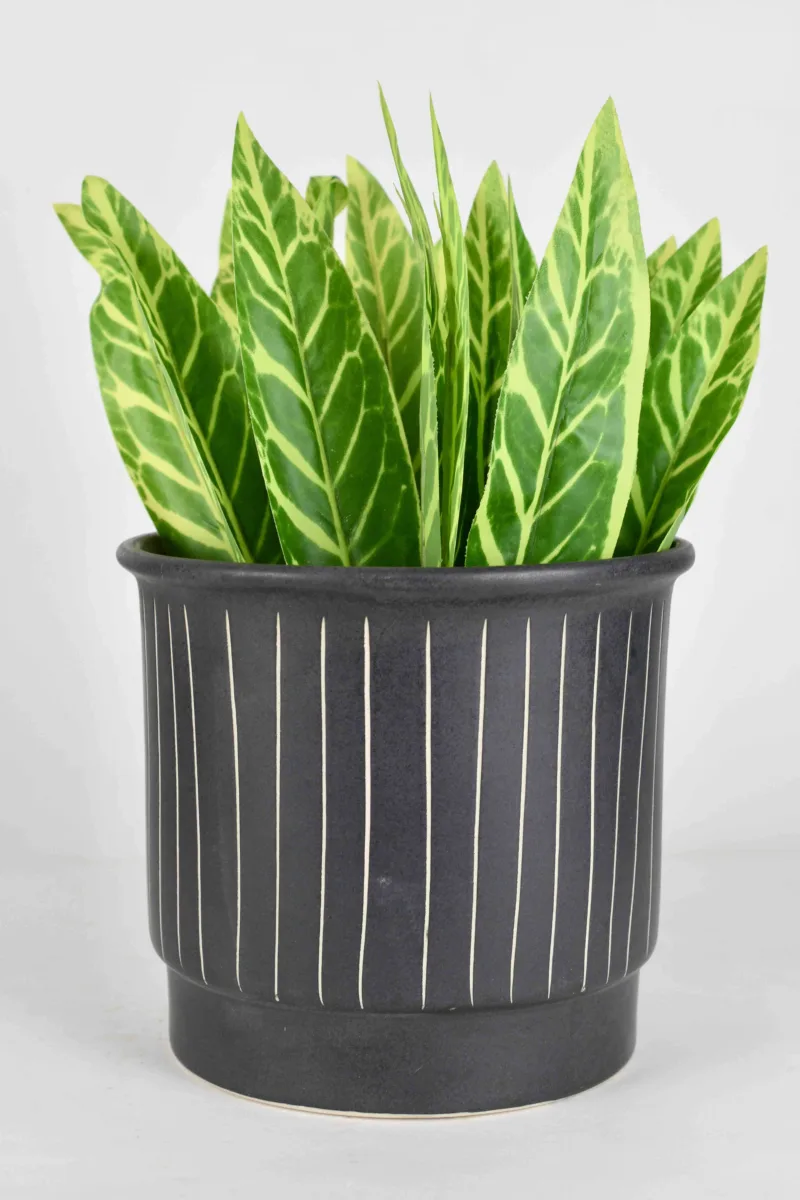Classic Ceramic Planter — 3.5" Dia × 3.5" Height — Primary View