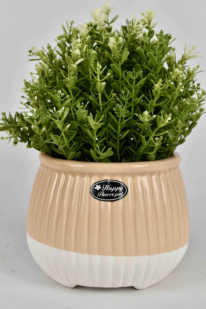 Classic Ceramic Planter — 6.5" Dia × 4.5" Height — Primary View