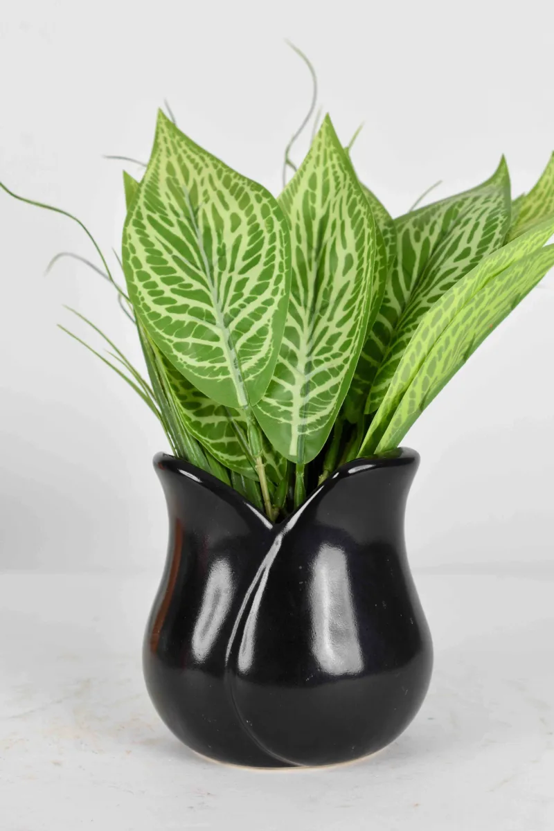 Classic Ceramic Planter — 7" Dia × 2.5" Height — Primary View
