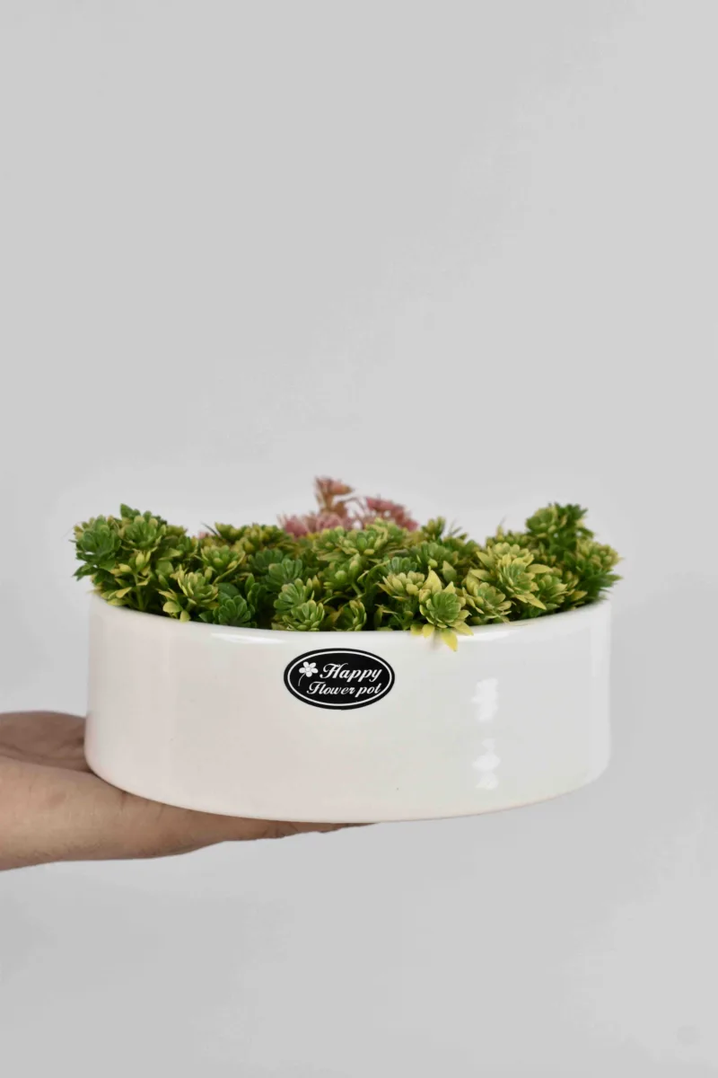 Classic Ceramic Planter Set of 3 (3" Dia) — Primary View