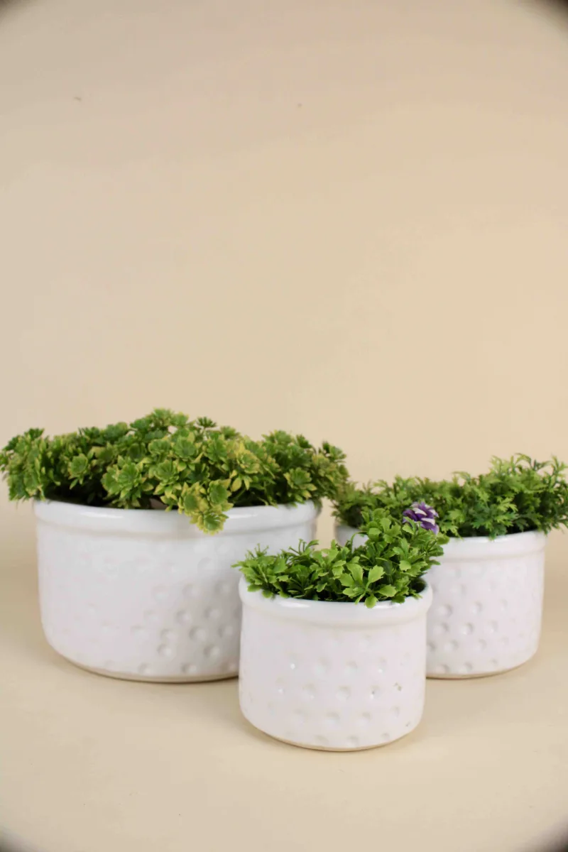 Classic Ceramic Planter — 4" Dia × 3.5" Height — Primary View
