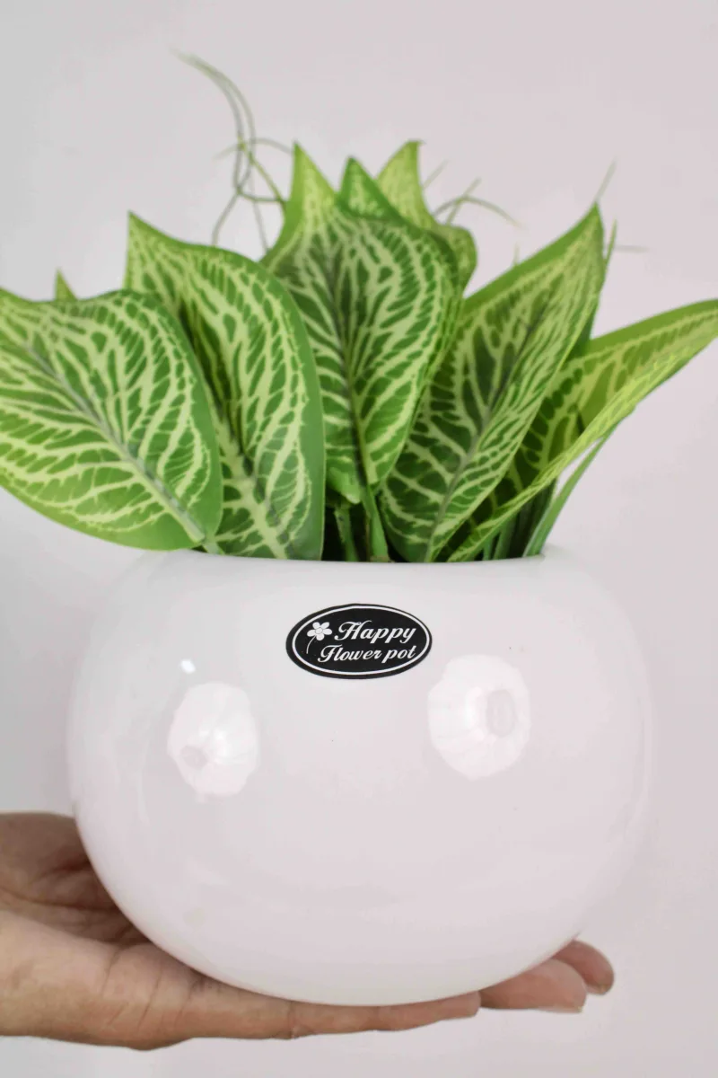 Classic Ceramic Planter Set of 3 (3" Dia) — Primary View