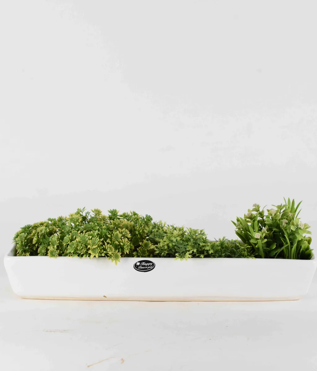 Classic Ceramic Planter — 5" Dia × 4" Height — Primary View