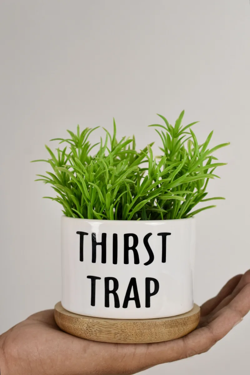 Classic Ceramic Planter — 4.5" Dia × 4" Height — Primary View