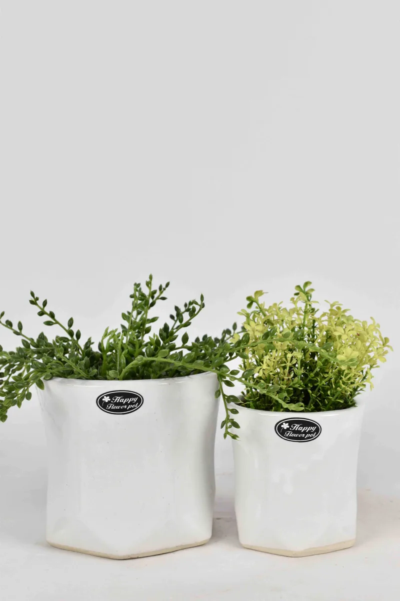 Classic Ceramic Planter — 7" Dia × 2.5" Height — Primary View