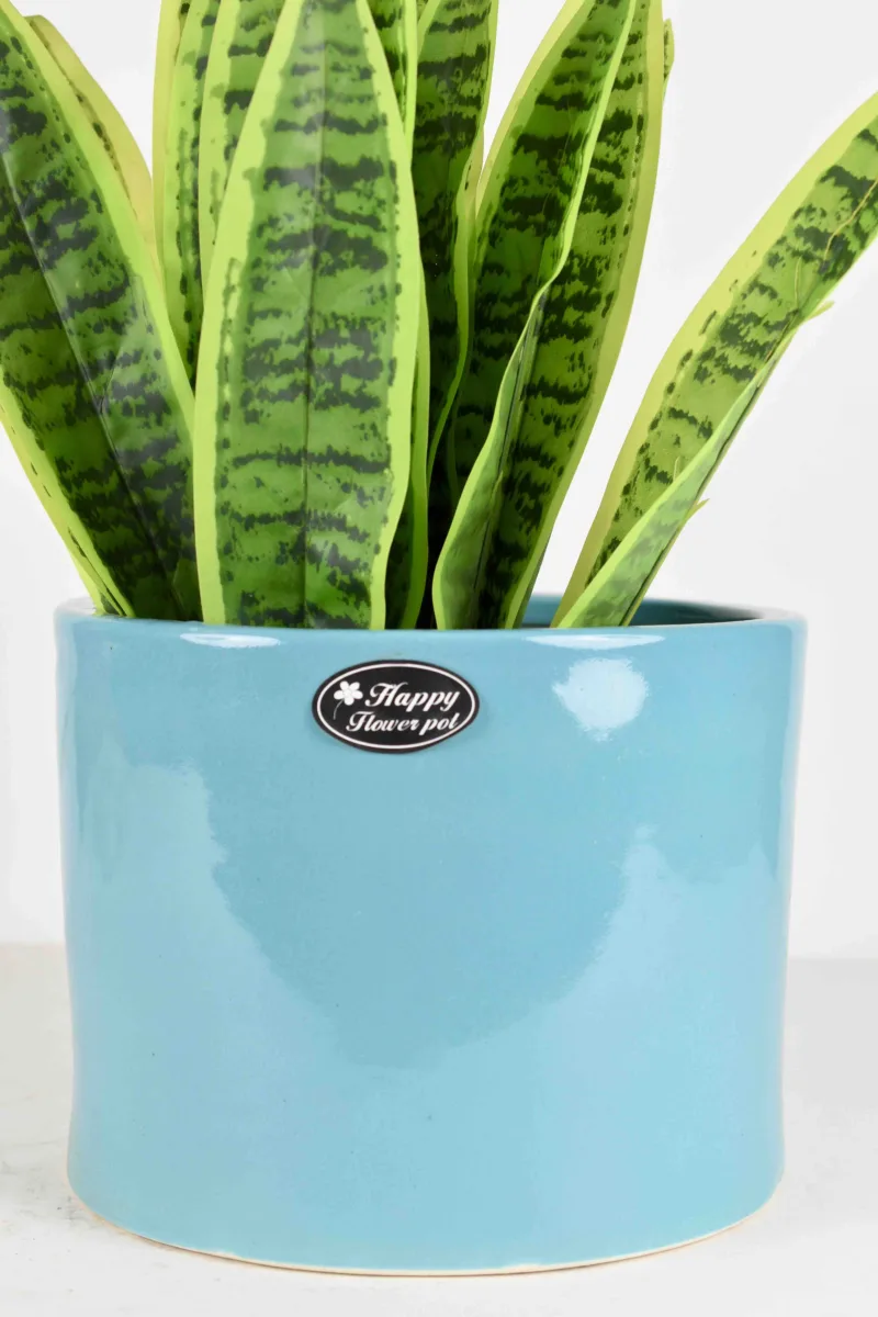 Classic Ceramic Planter — 5" Dia × 5" Height — Primary View