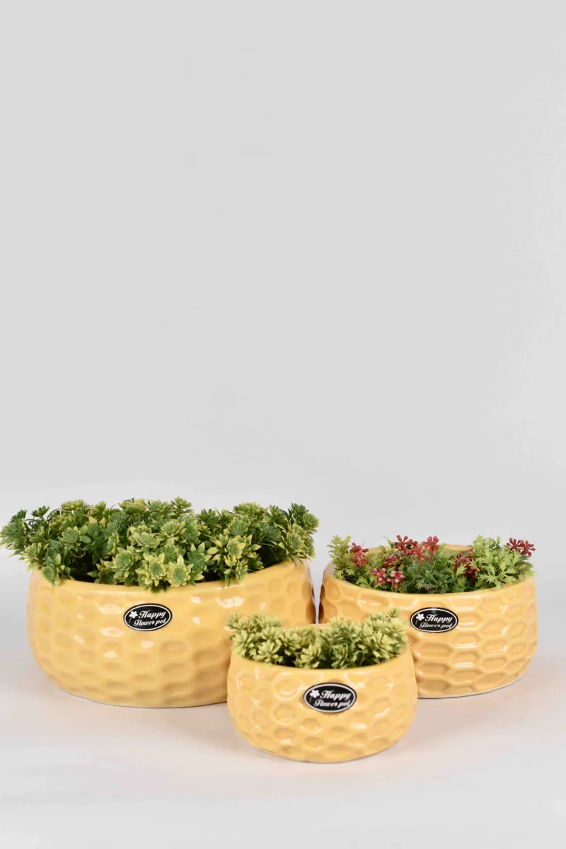 Classic Ceramic Planter — 5" Dia × 4" Height — Primary View