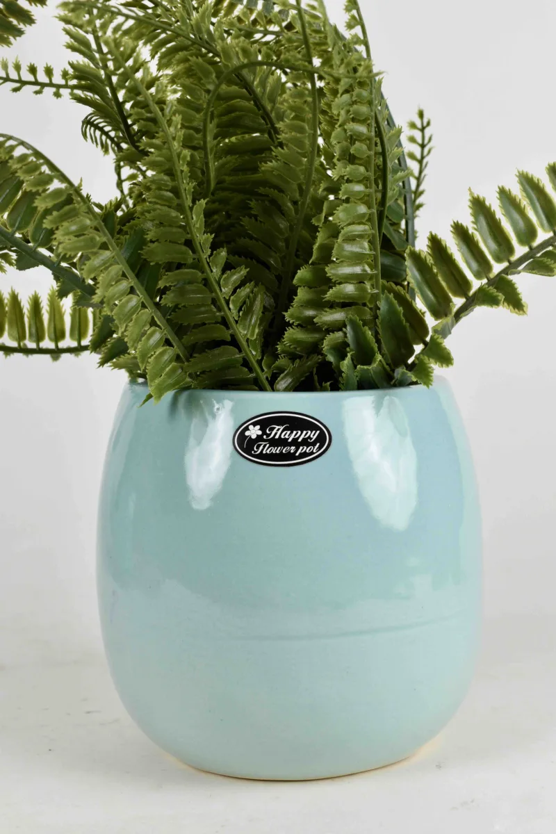 Classic Ceramic Planter — 12" Dia × 3" Height — Primary View