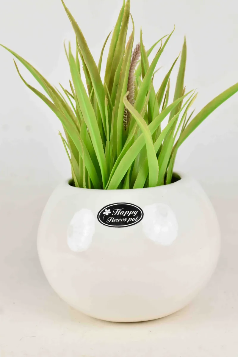 Classic Ceramic Planter — Primary View