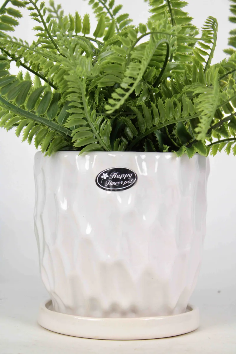 Classic Ceramic Planter — 6" Dia × 5" Height — Primary View