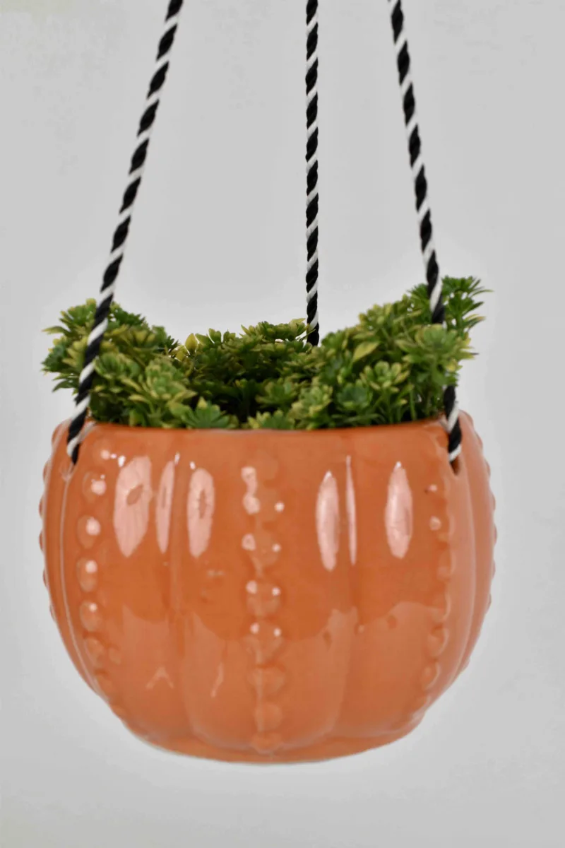 Classic Ceramic Planter — 5" Dia × 6" Height — Primary View