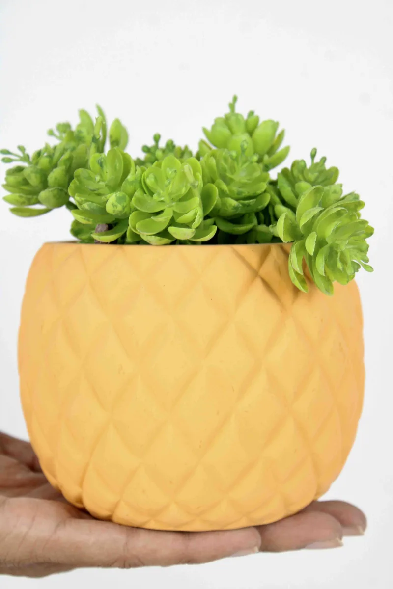 Classic Ceramic Planter — 7" Dia × 5.5" Height — Primary View