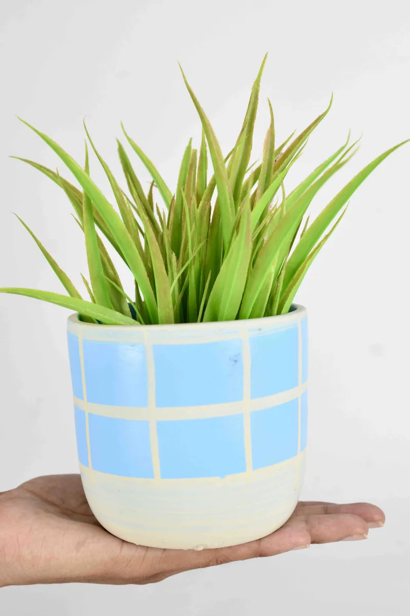 Classic Ceramic Planter — 2.5" Dia × 2" Height — Primary View