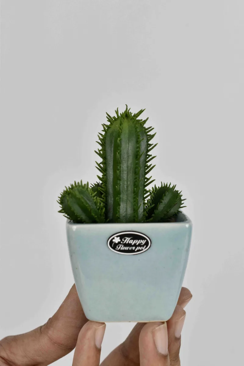 Classic Ceramic Planter — 6.5" Dia × 4.5" Height — Primary View