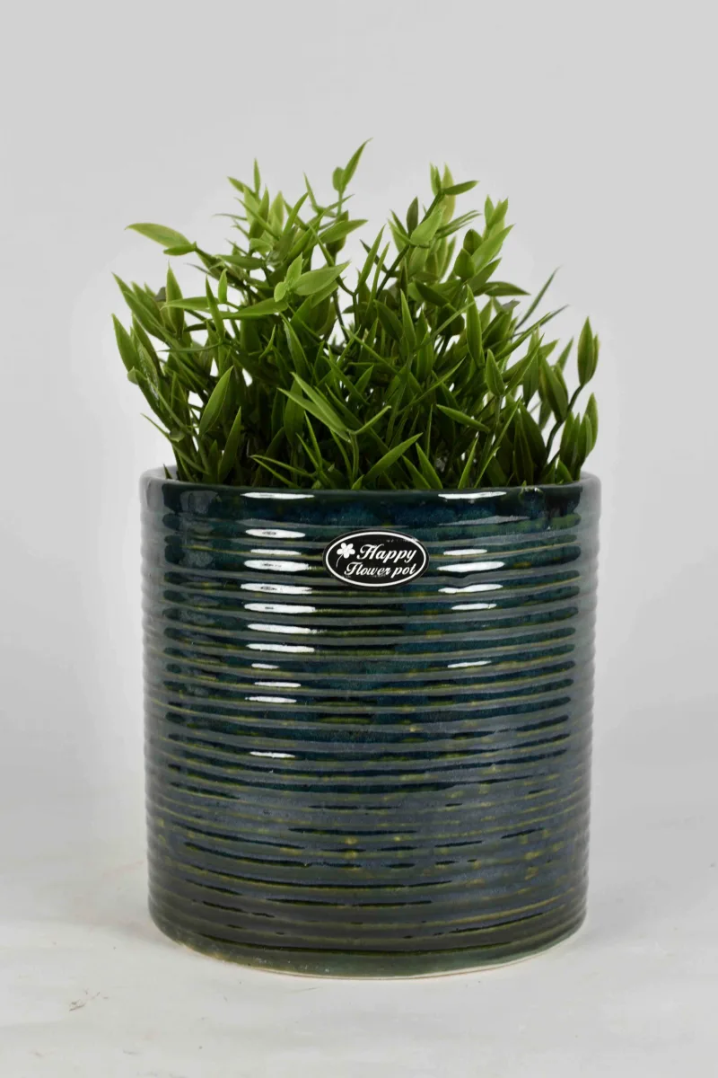 Classic Ceramic Planter — 6" Dia × 7" Height — Primary View