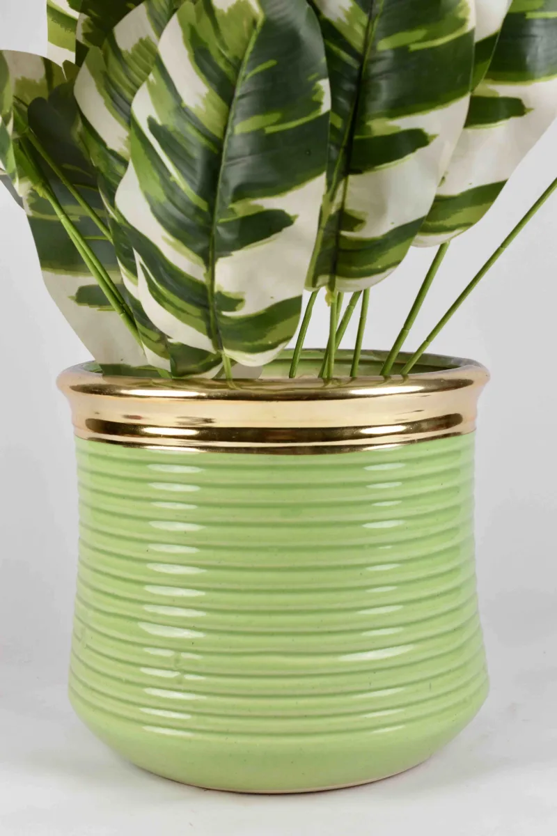 Classic Ceramic Planter — 5.5" Dia × 4.5" Height — Primary View