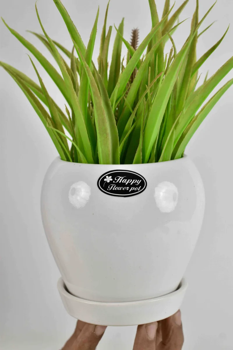 Classic Ceramic Planter — 9" Dia × 4" Height — Primary View