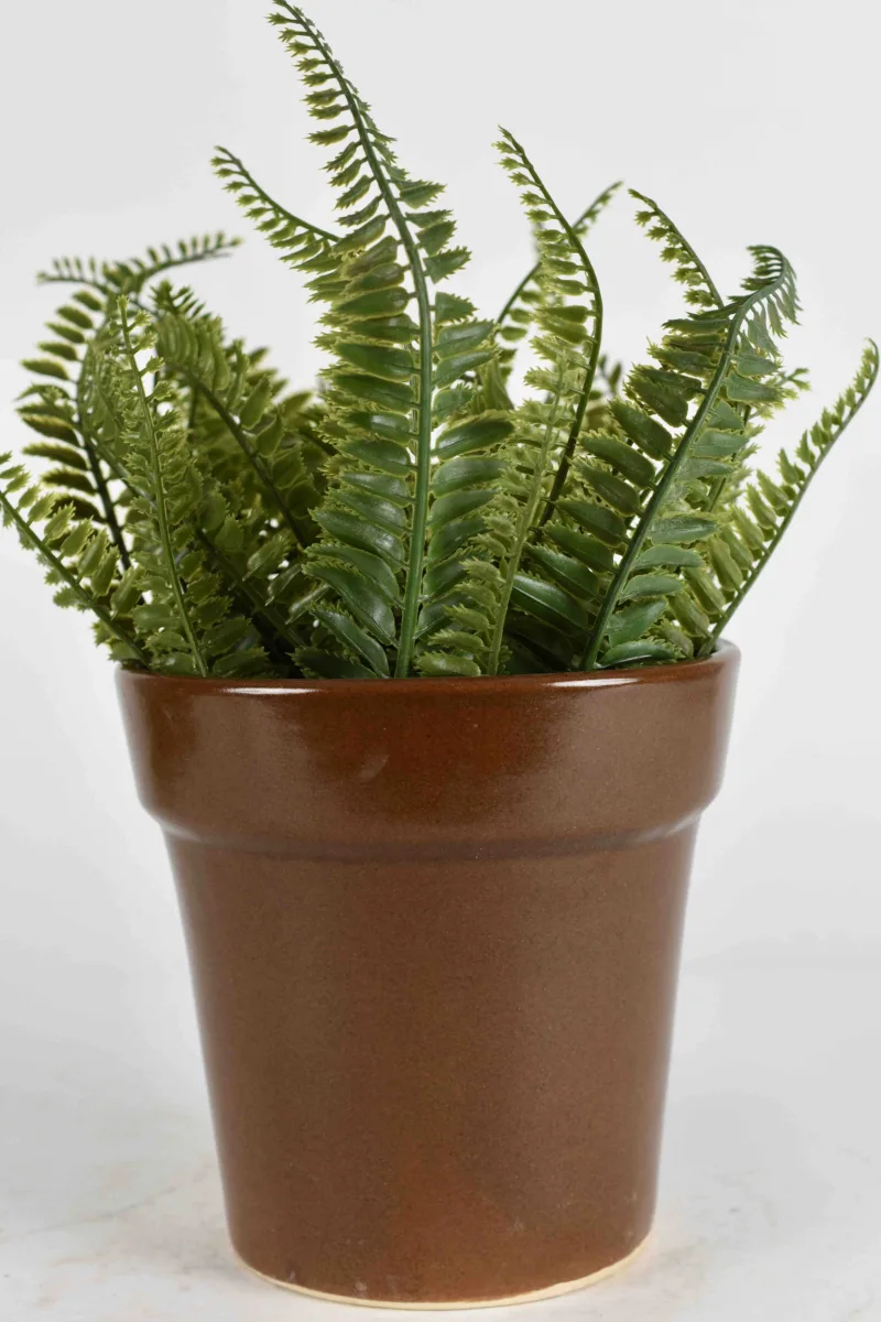 Classic Ceramic Planter Set of 2 (2" Dia) — Primary View