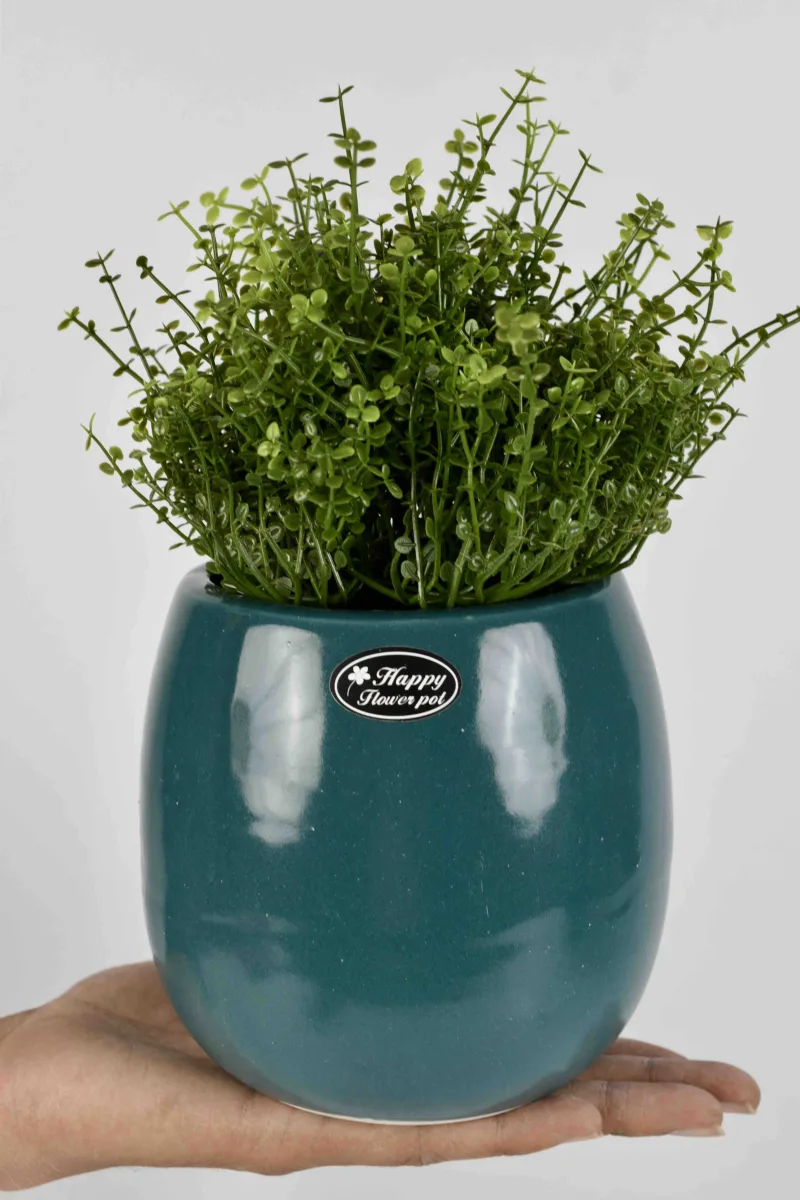 Classic Ceramic Planter — 5" Dia × 5" Height — Primary View