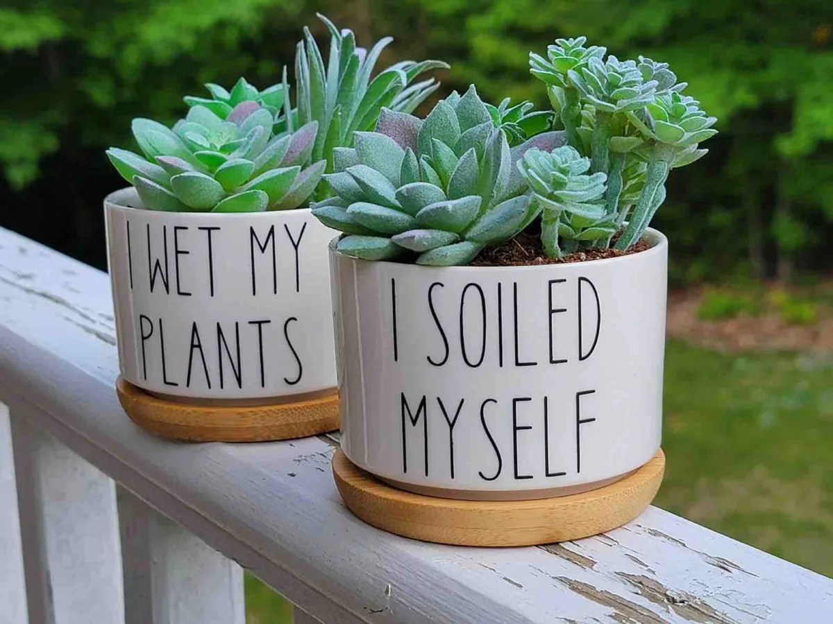 Classic Ceramic Planter Set of 3 (3" Dia) — Primary View