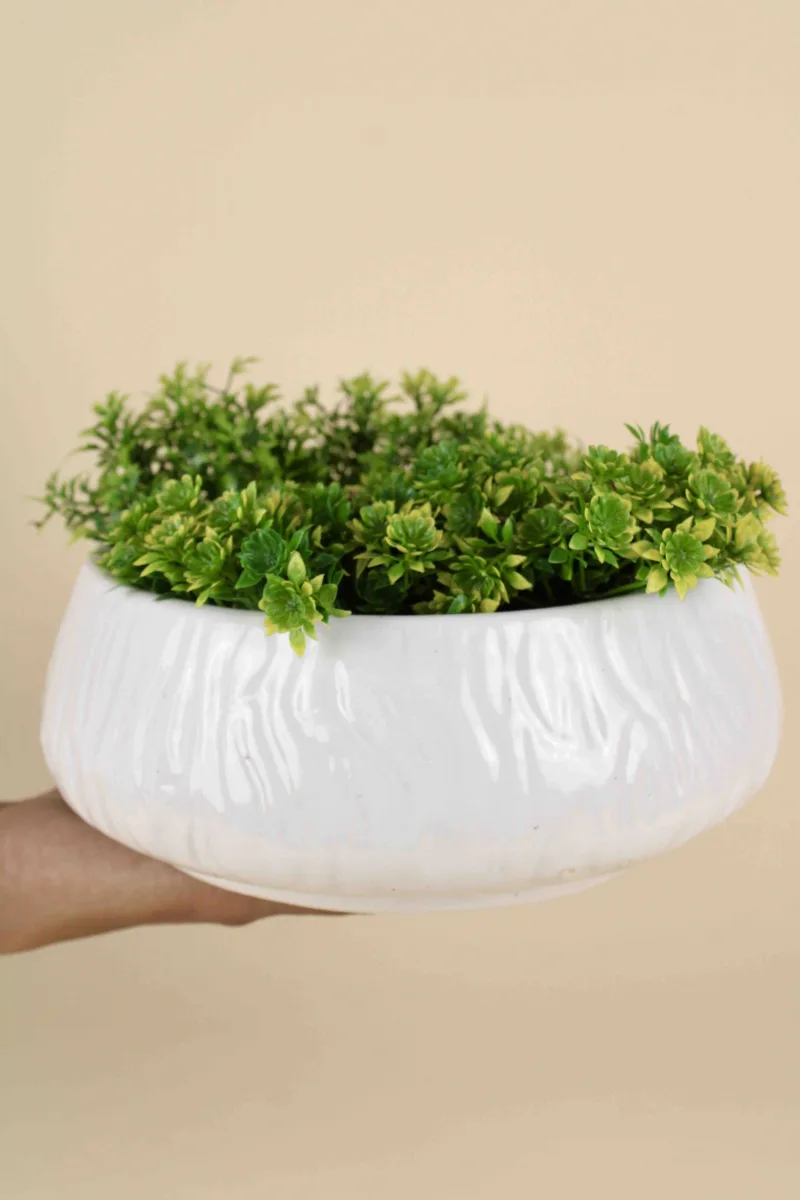 Classic Ceramic Planter — 6" Dia × 5" Height — Primary View