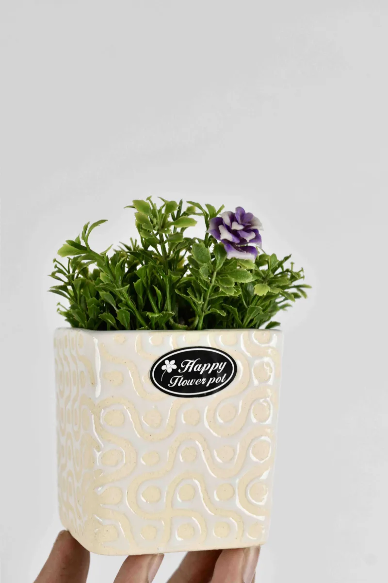 Classic Ceramic Planter — 3.5" Dia × 3.5" Height — Primary View