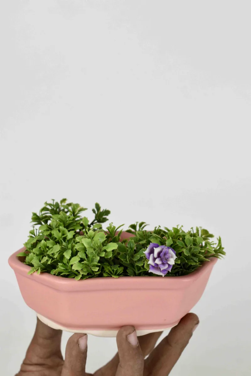 Classic Ceramic Planter — 10" Dia × 9.5" Height — Primary View