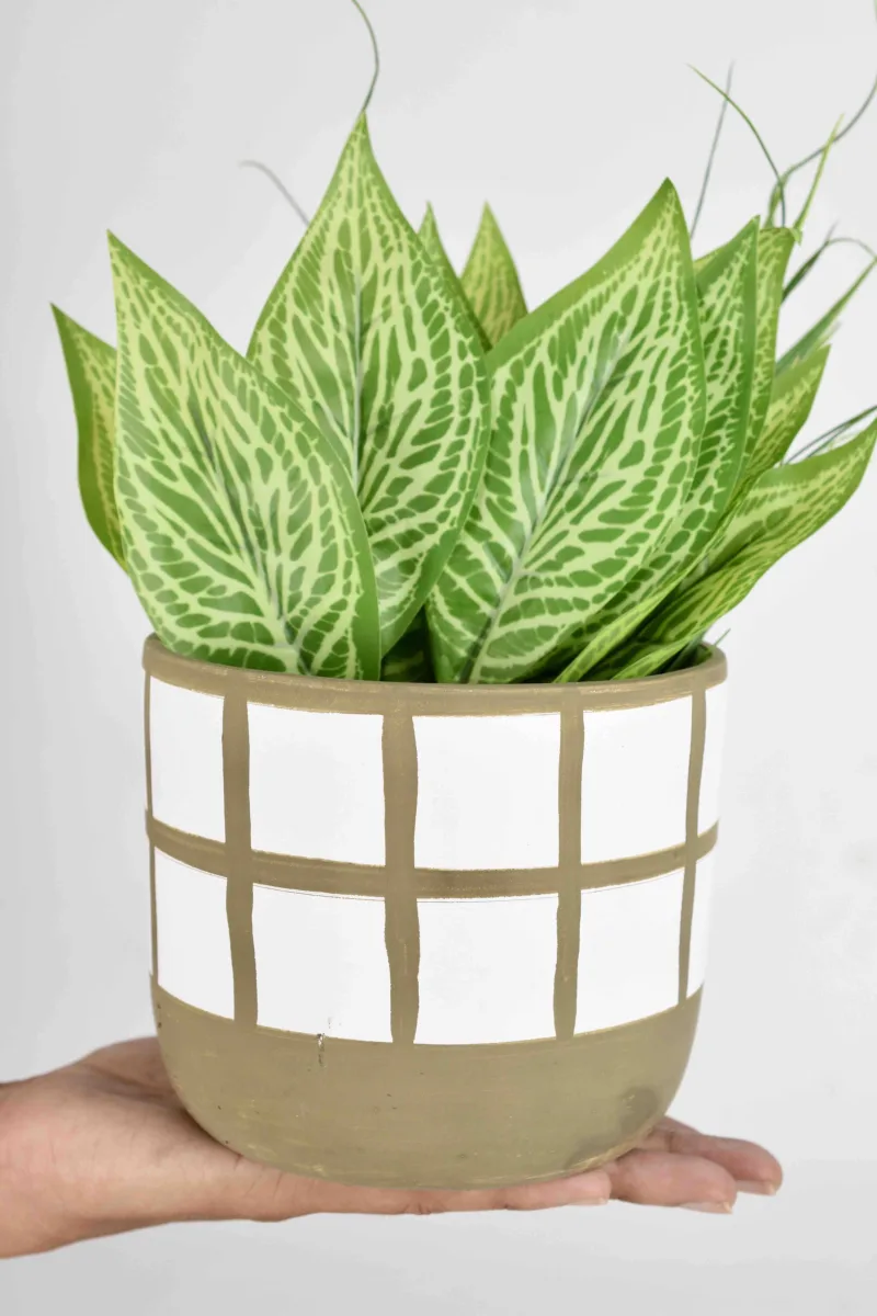 Classic Ceramic Planter — 3.5" Dia × 6" Height — Primary View