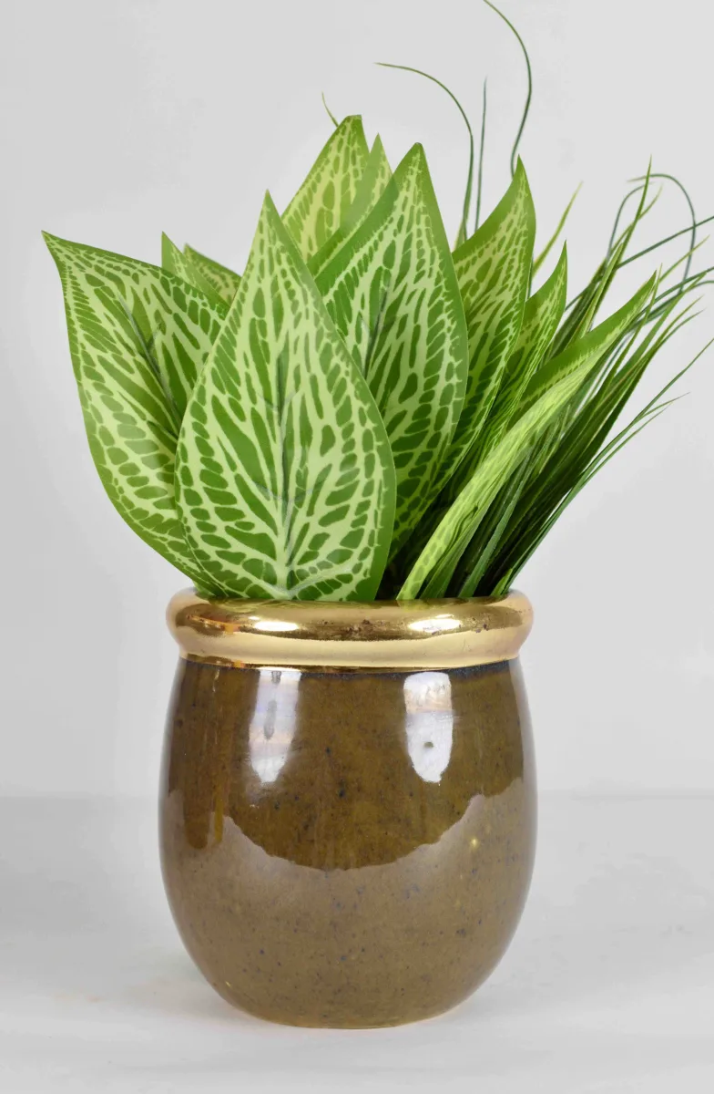Classic Ceramic Planter — 6.5" Dia × 4.5" Height — Primary View