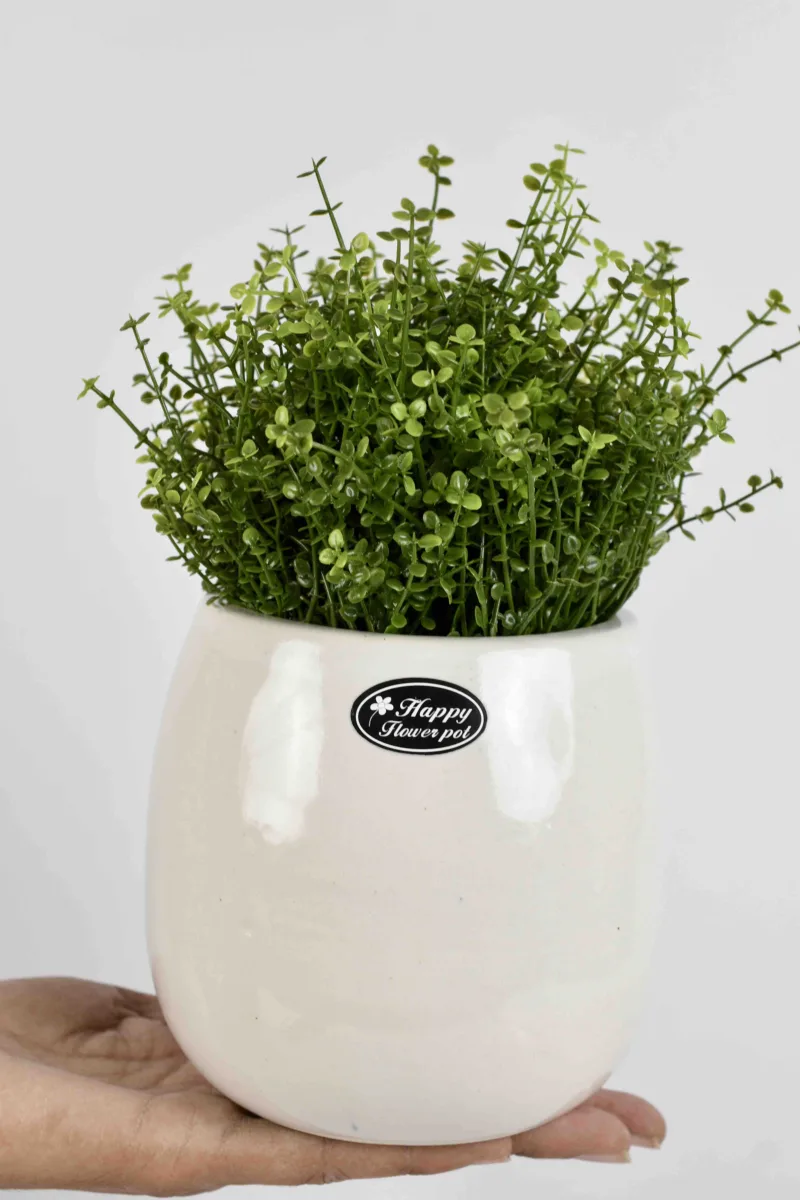 Classic Ceramic Planter — 9" Dia × 7" Height — Primary View