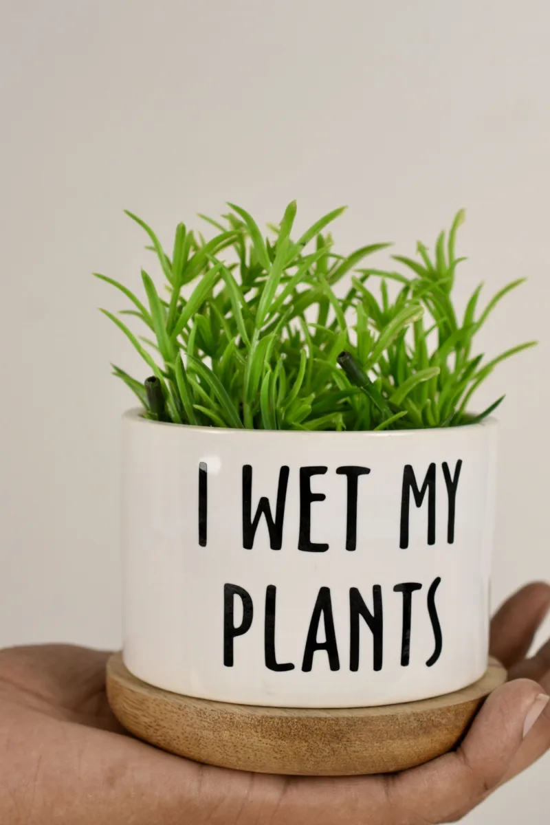 Classic Ceramic Planter Set of 3 (3" Dia) — Primary View