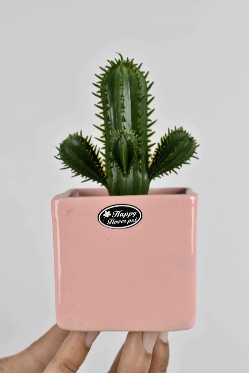 Classic Ceramic Planter — 5" Dia × 4" Height — Primary View