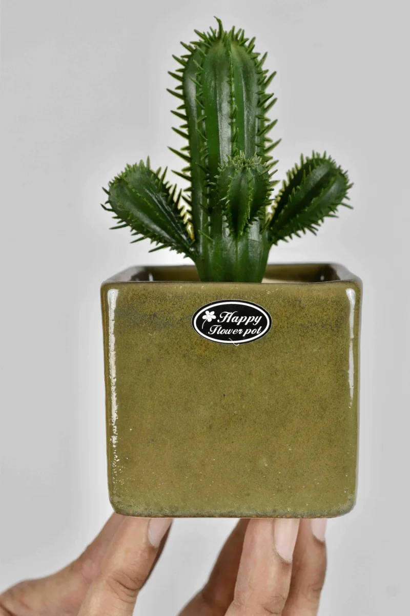 Classic Ceramic Planter — 5.5" Dia × 4" Height — Primary View